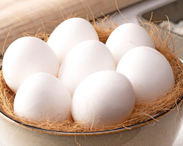Fresh-Egg