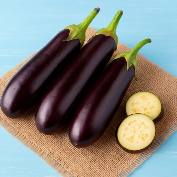 Fresh Brinjal for Daily Cooking – Glossy, Firm, and Ready to Use
