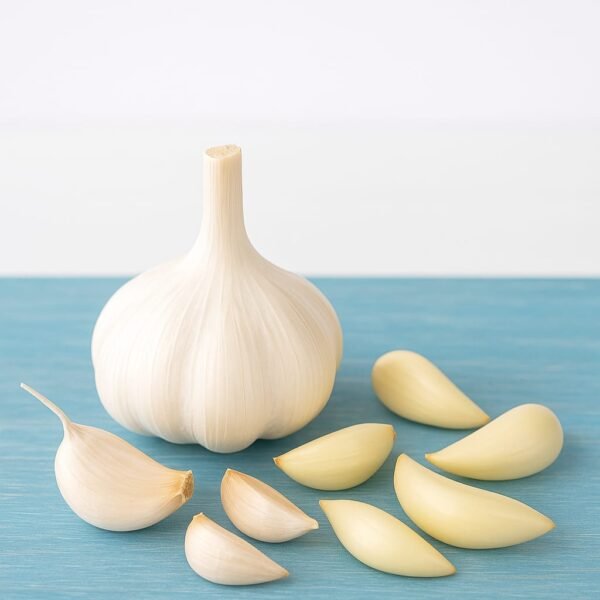 Garlic-Lassan