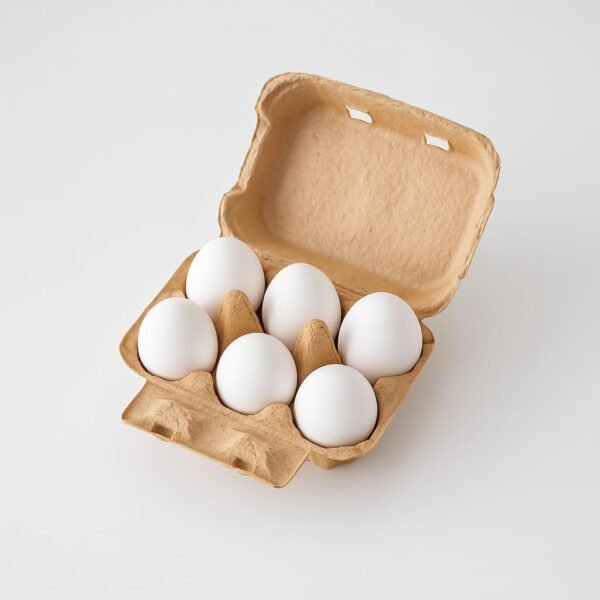 Fresh-Egg